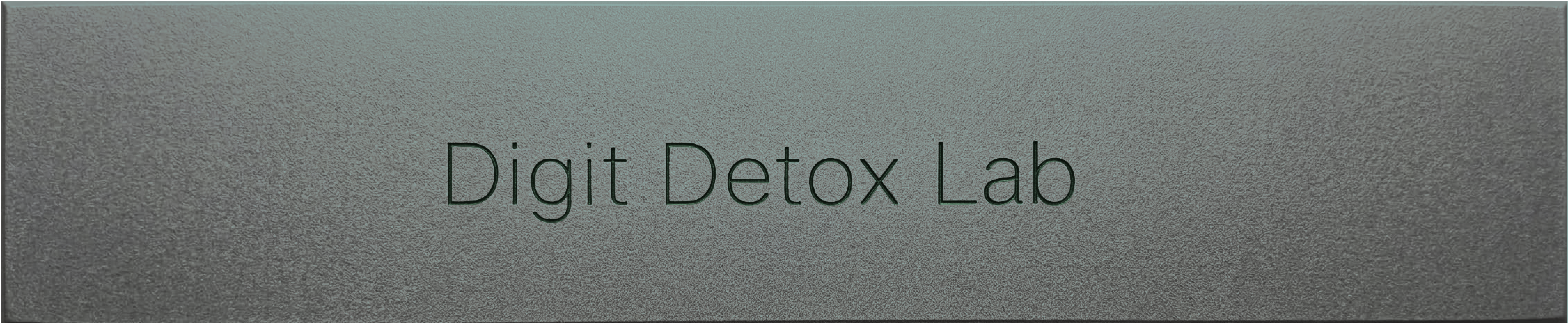 Digit Detox Lab